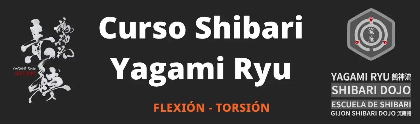 Curso online shibari estilo Yagami Ryu: 304 Flexión - Torsión