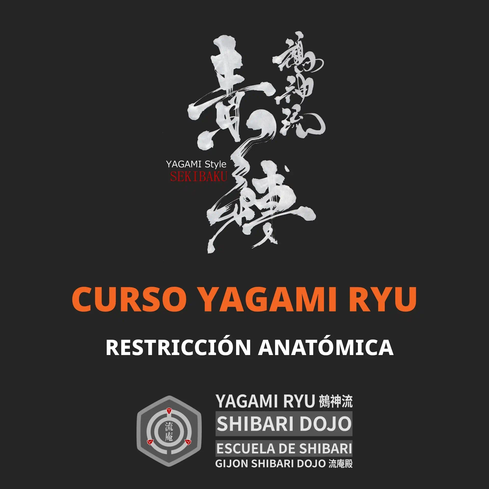 Curso online shibari estilo Yagami Ryu: 305 - Restricción