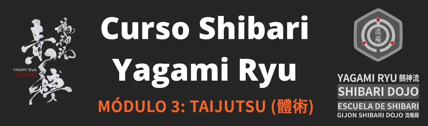Curso Oficial de Shibari del Yagami Ryu - Módulo 3: Taijutsu (體術)