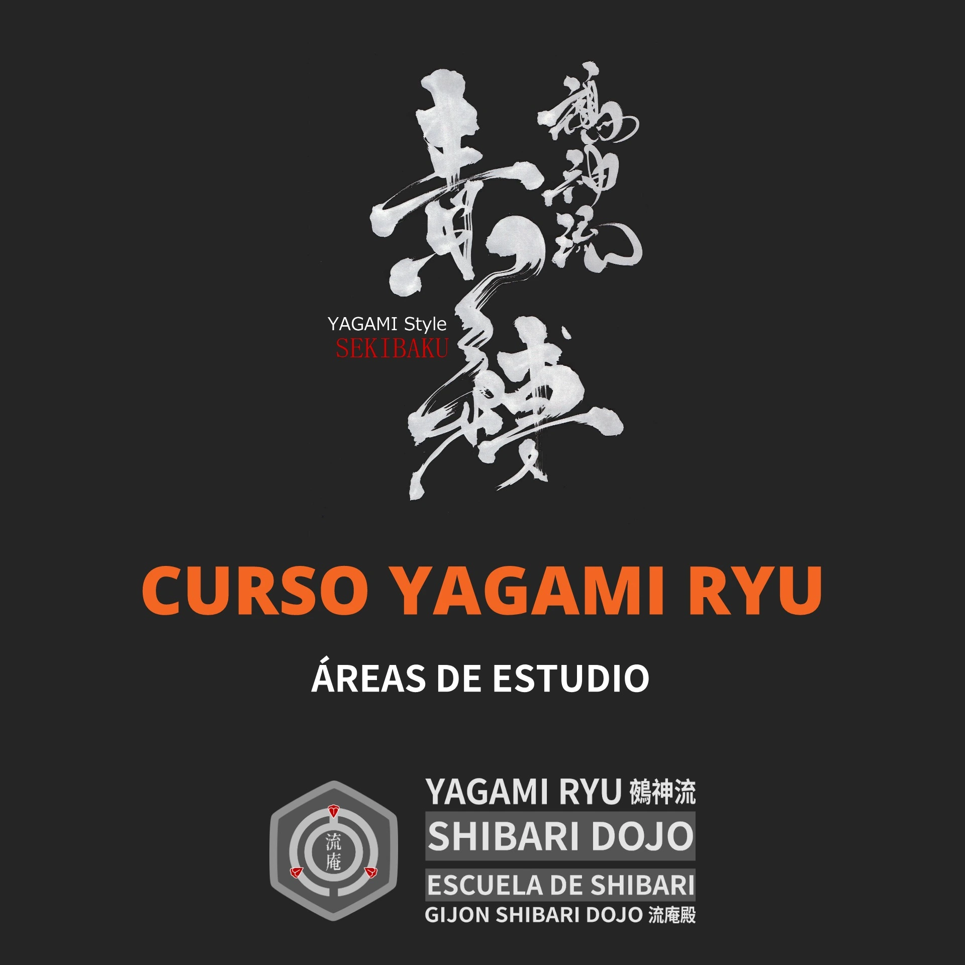 Curso de Shibari del Yagami Ryu: Áreas de Estudio