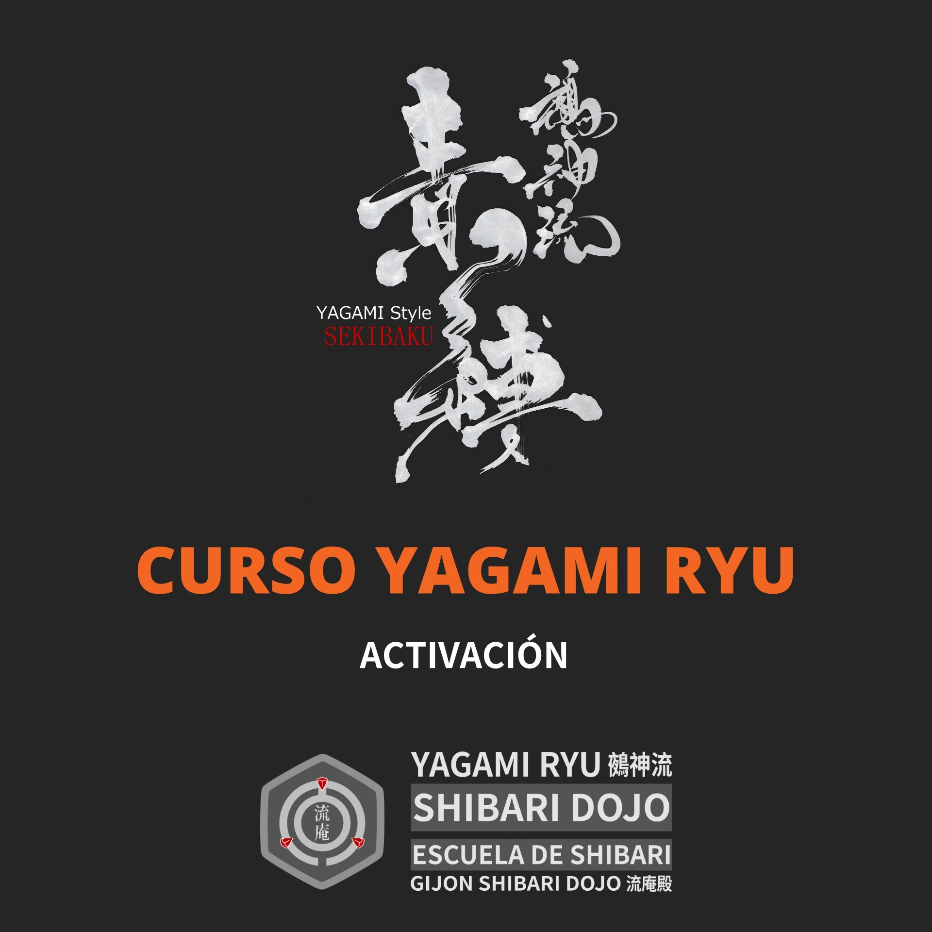 Curso de Shibari Yagami Ryu: Activación