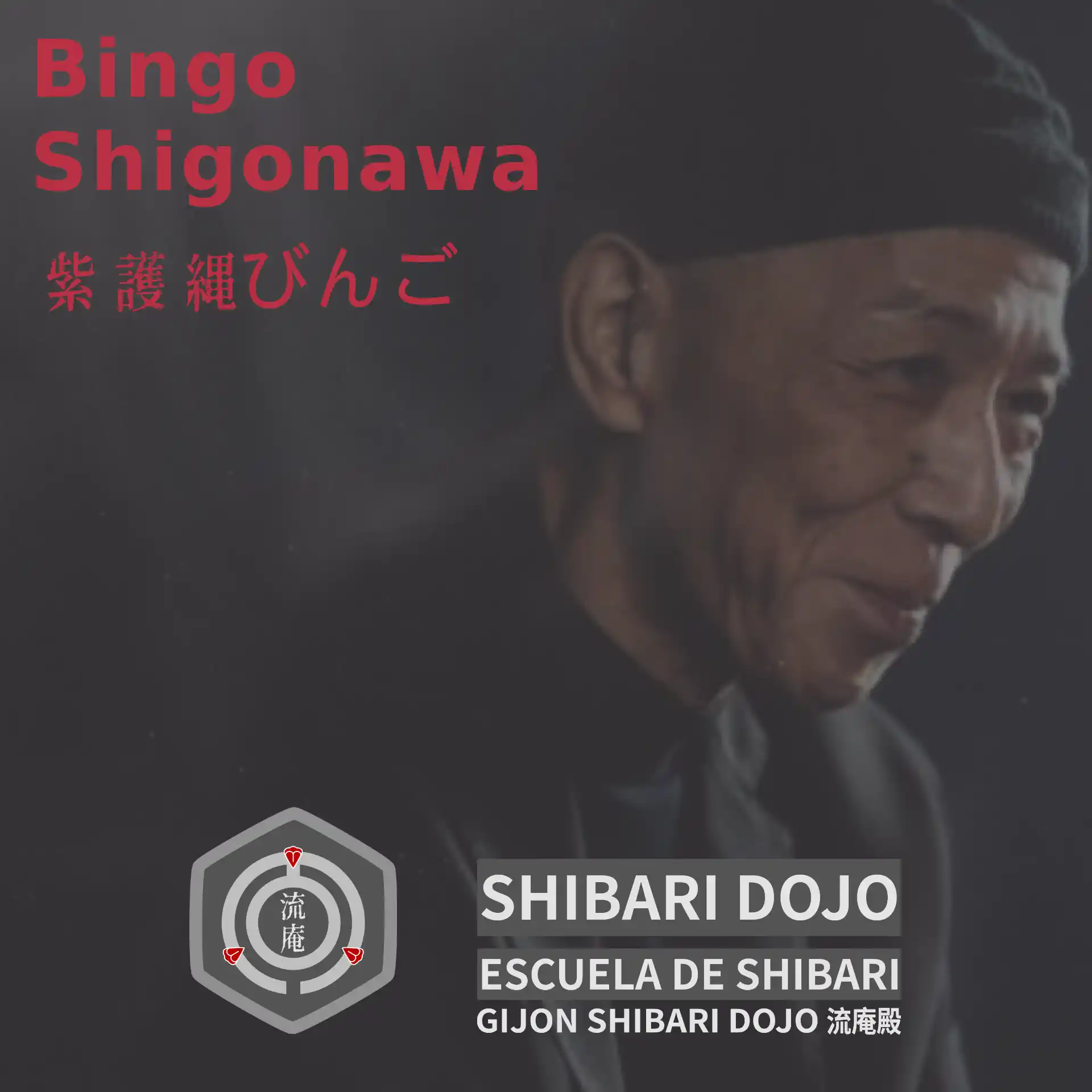 Bingo Shigonawa (紫護縄びんご)