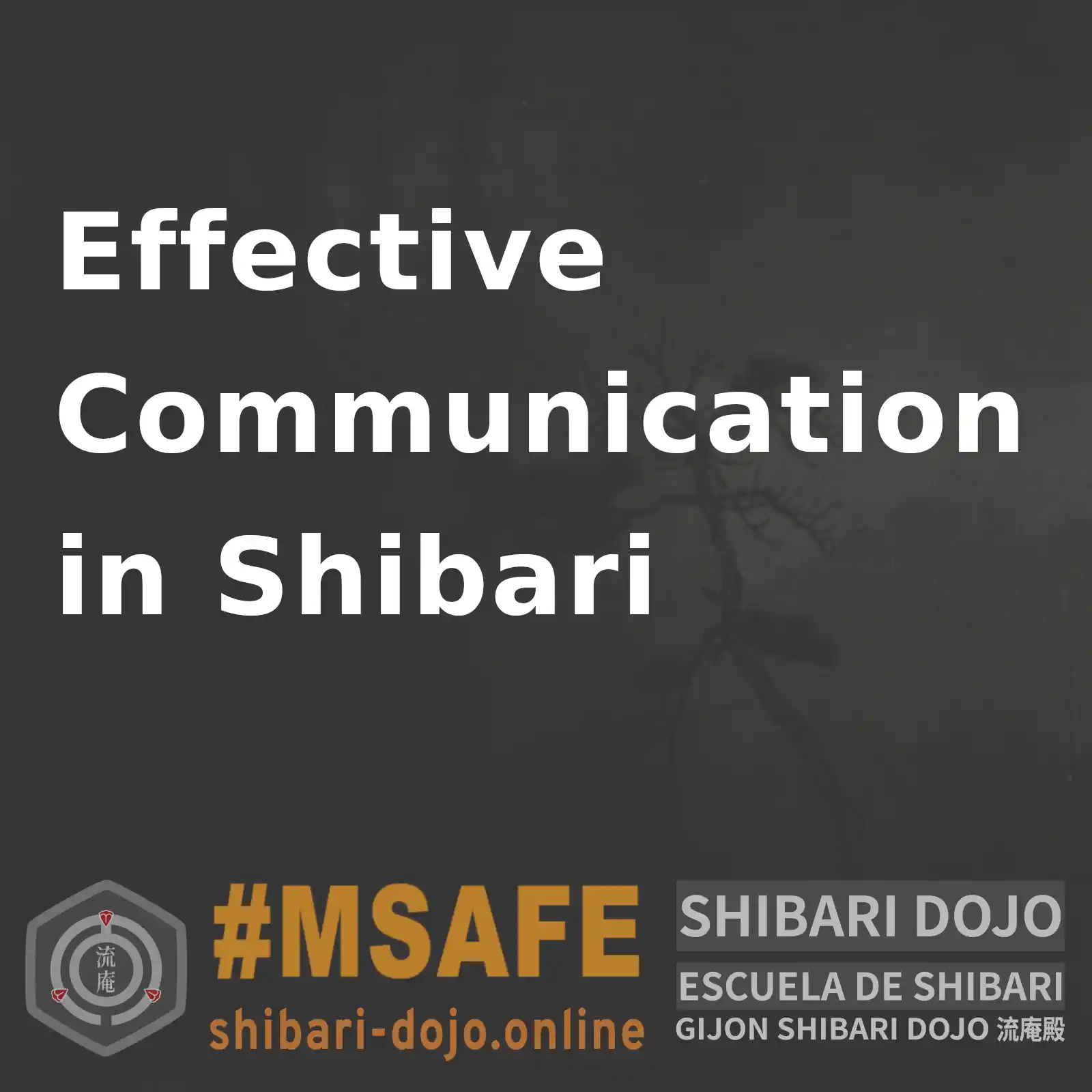 Effective Communication in Shibari