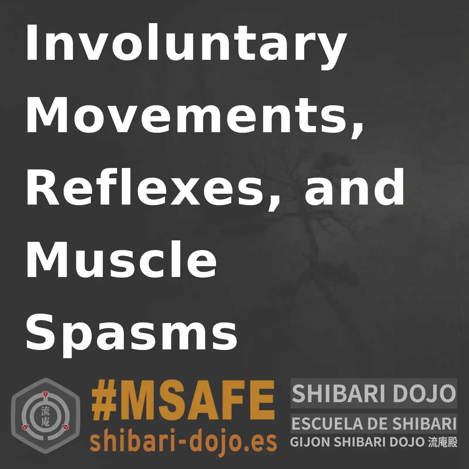 Dangers of Shibari: Pelvic Spasms
