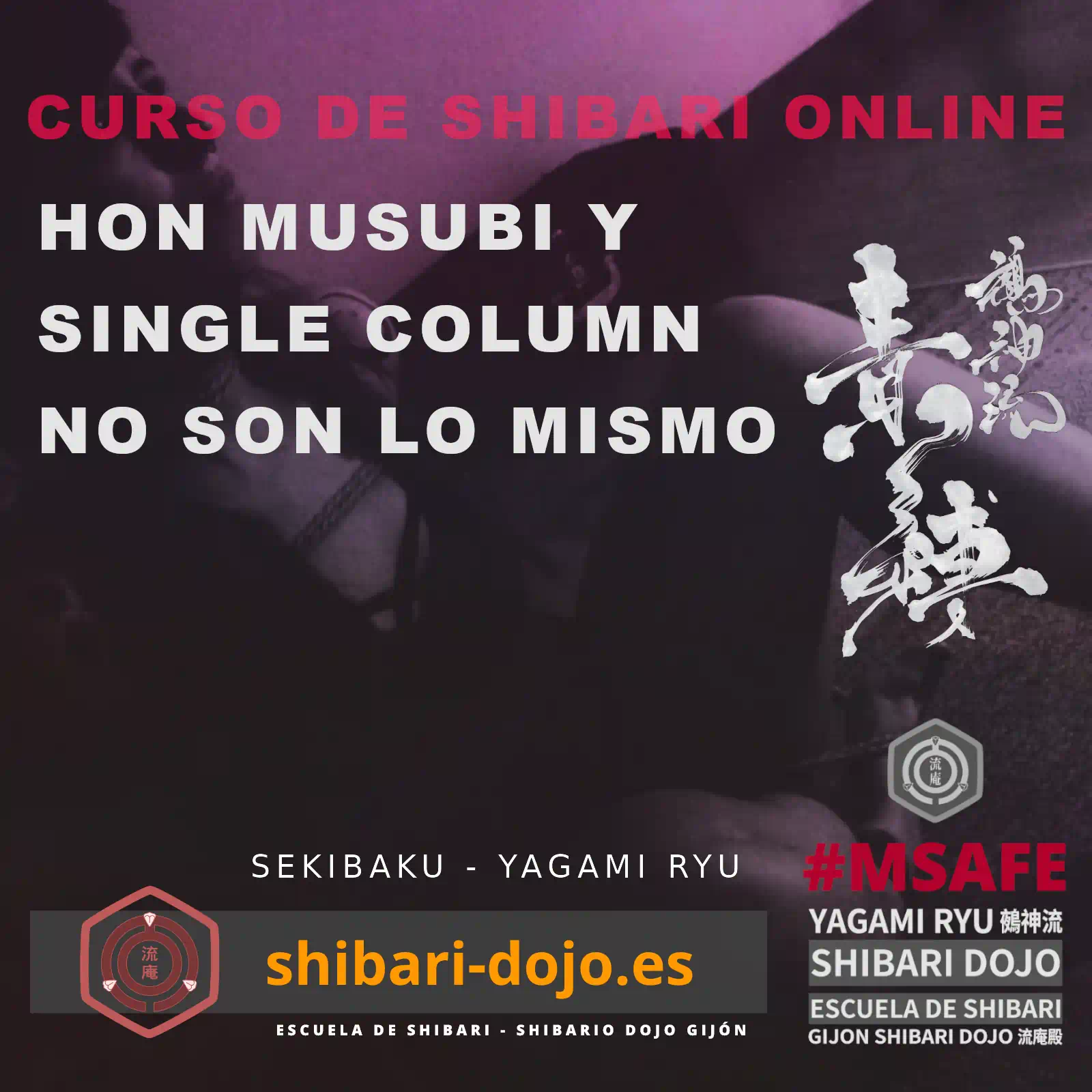 Hon Musubi y Single Column no son lo mismo