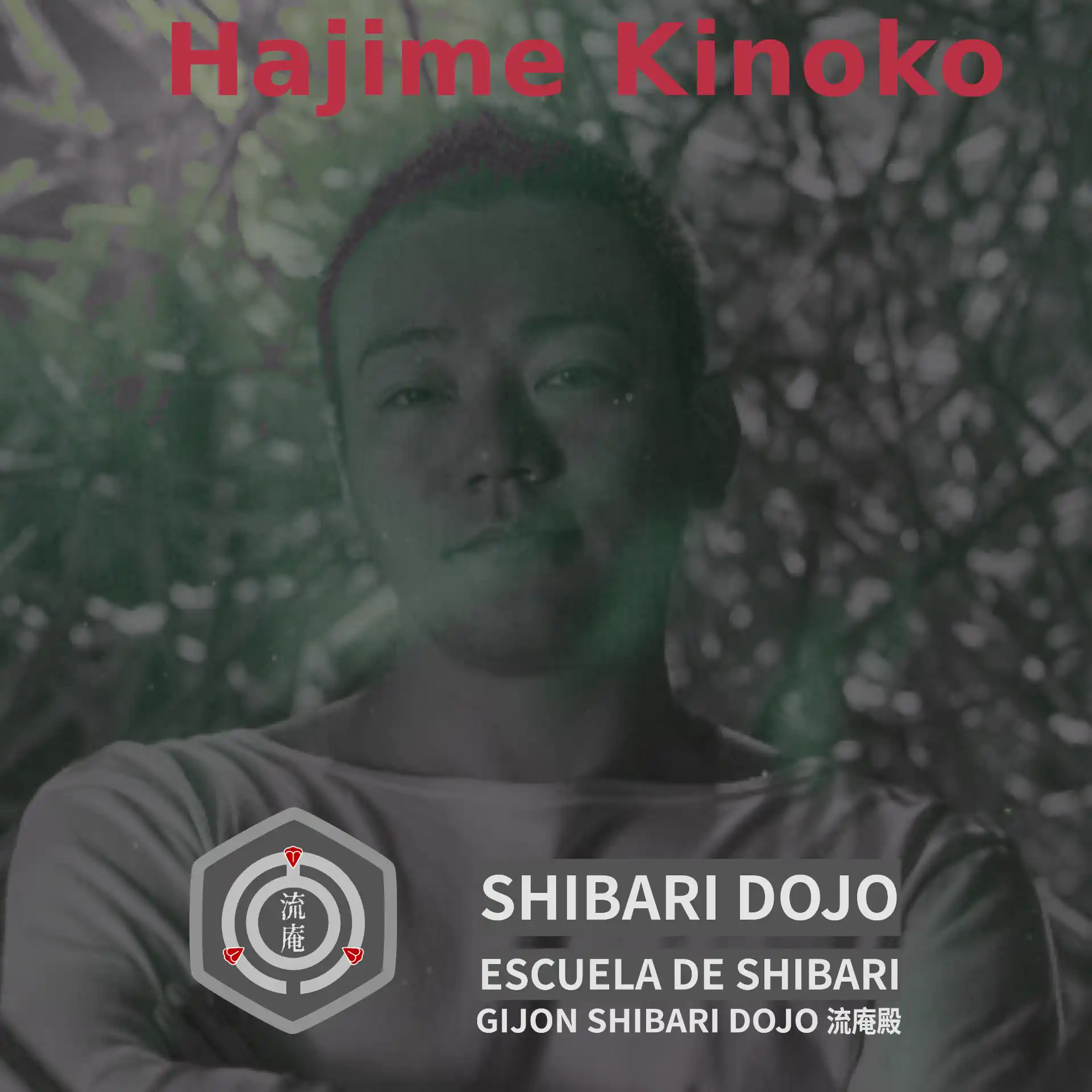 Faceta artística de Hajime Kinoko