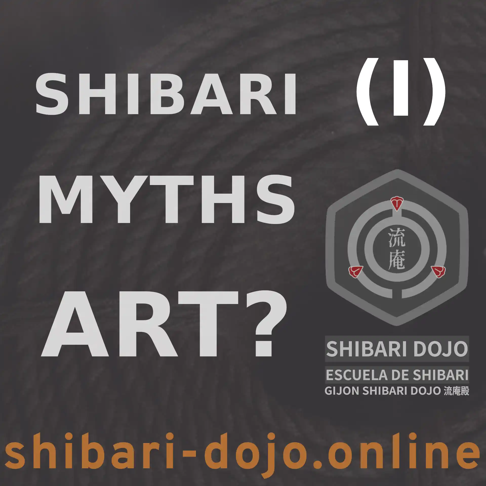 Is Shibari an Art or a Technique? A Common Myth for Beginners to Question
