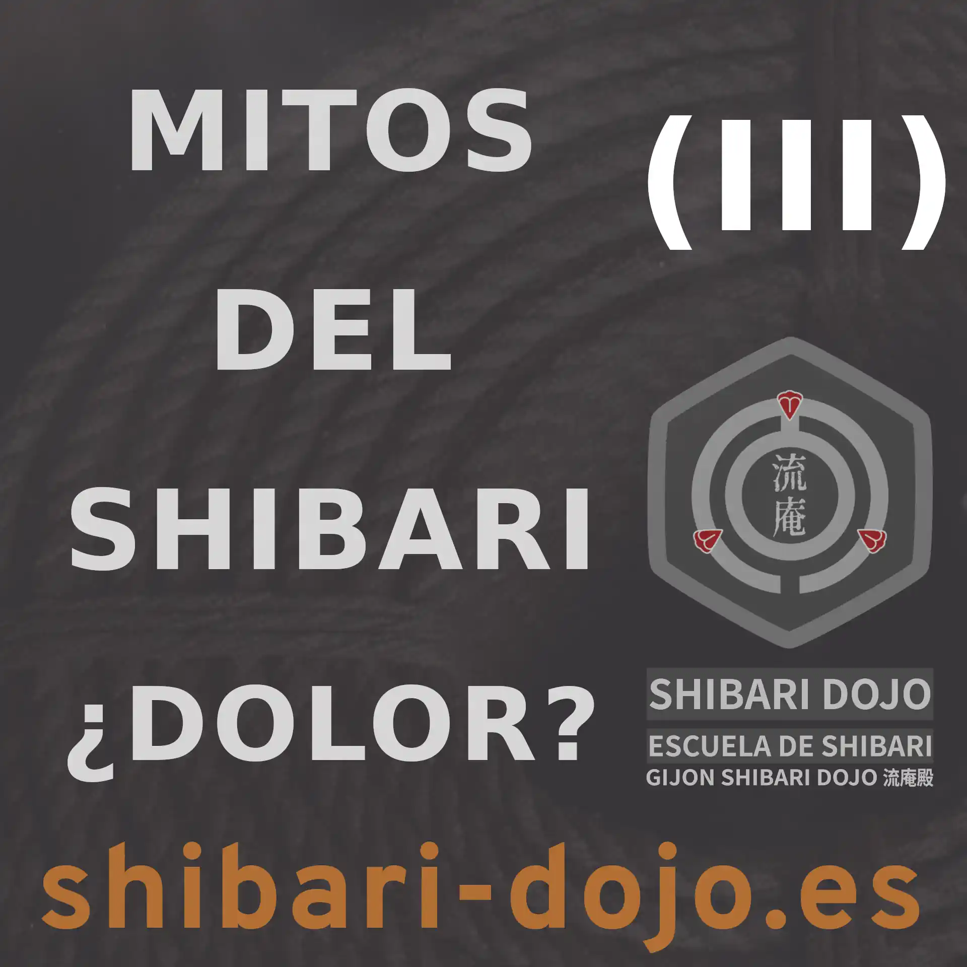 Mitos del Shibari: Dolor y Dejarse Hacer en la Práctica Erótica