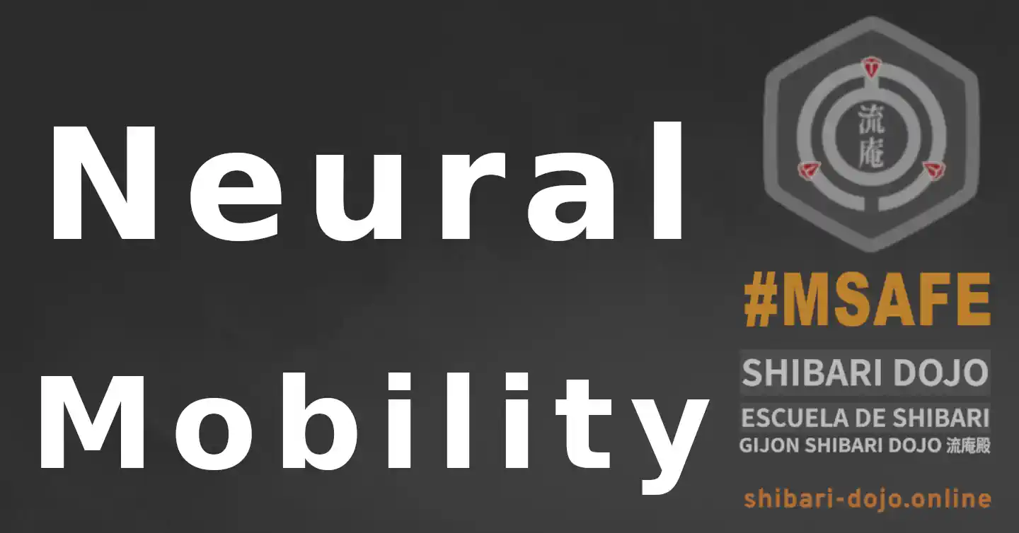 Shibari Neural Mobility