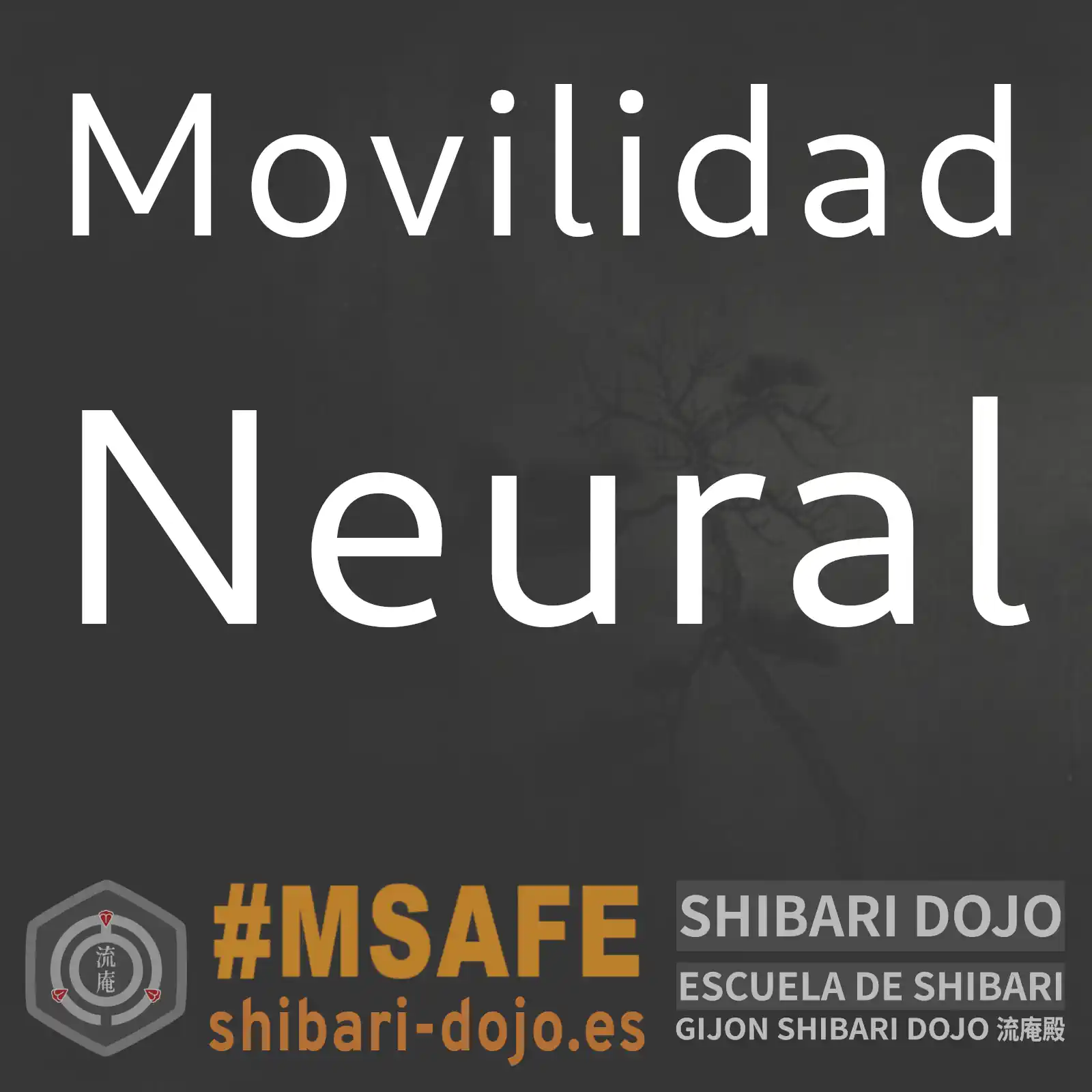 Movilidad Neural en el Shibari