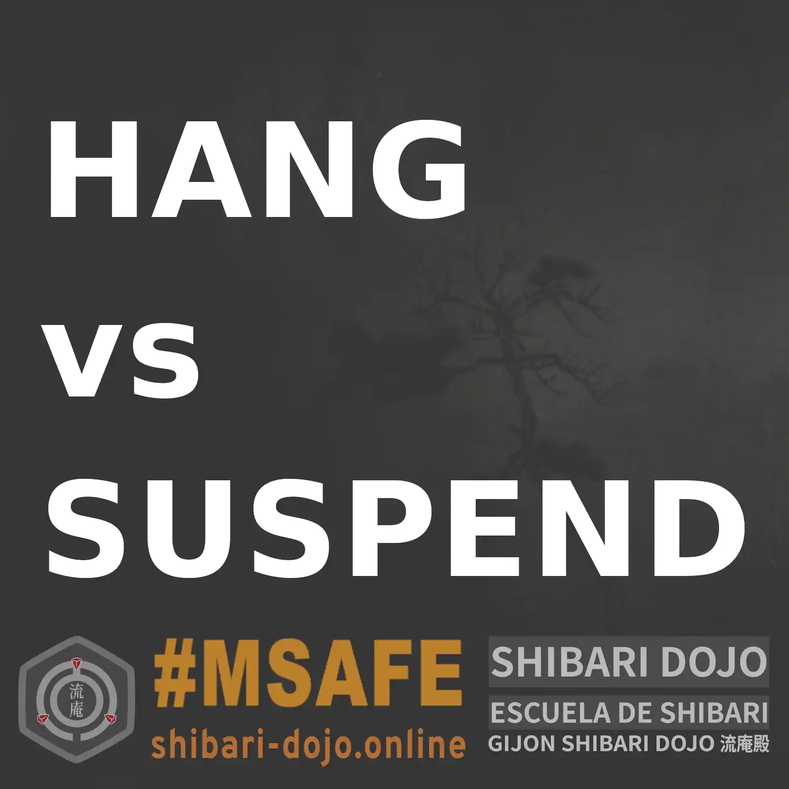 Hang vs. Suspend