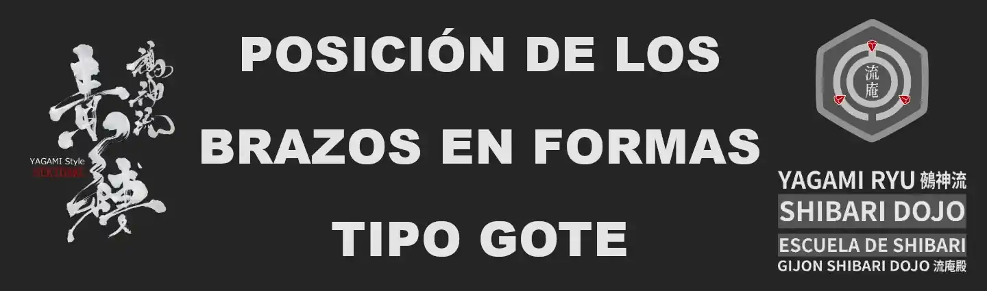 Posición de los Brazos en Formas tipo Gote