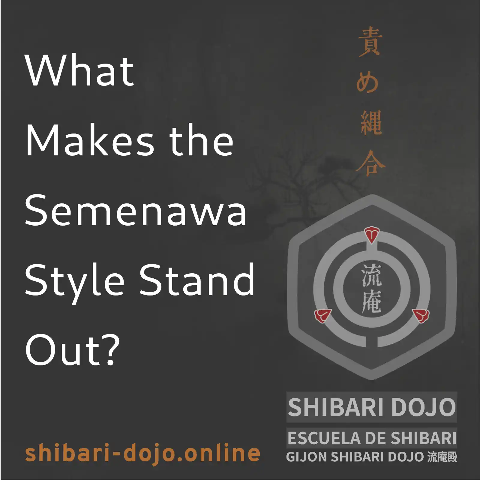 What Makes the Semenawa Style Stand Out?