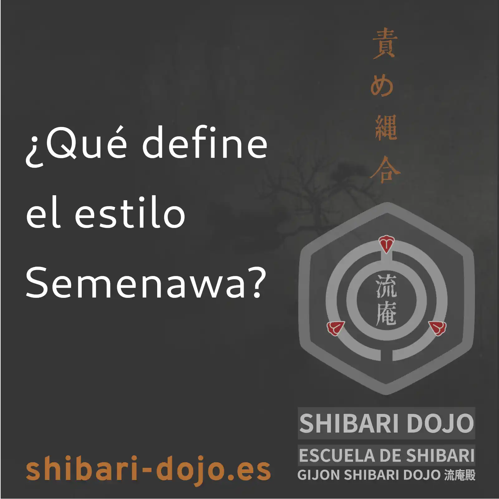 ¿Qué Define el Estilo Semenawa?