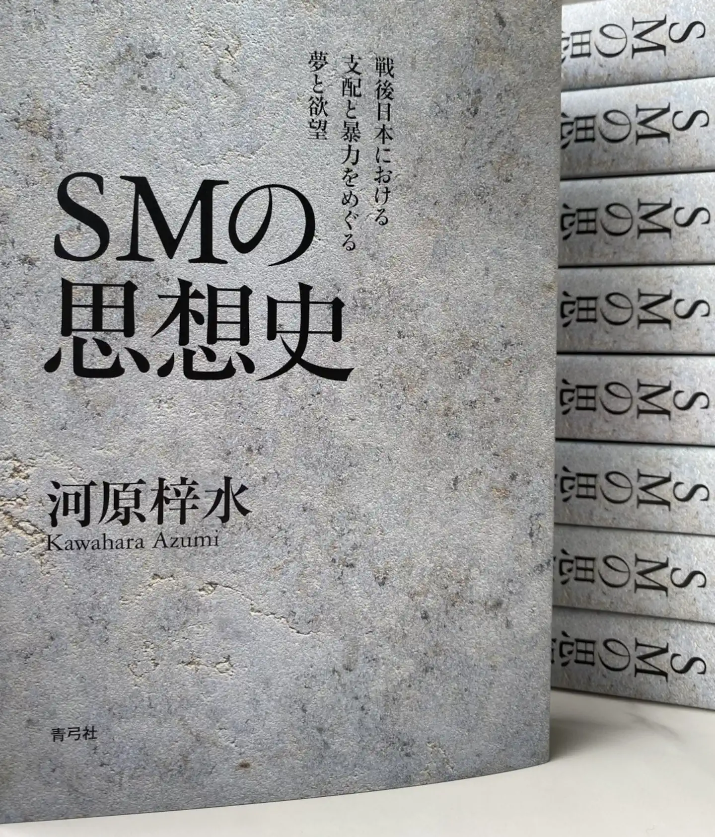 SMの思想史 : 戦後日本における支配と暴力をめぐる夢と欲望 SM no shisōshi: Sengo Nihon ni okeru shihai to bōryoku o meguru yume to yokubō — Historia del pensamiento del SM: sueños y deseos en torno al dominio y la violencia en el Japón de la posguerra