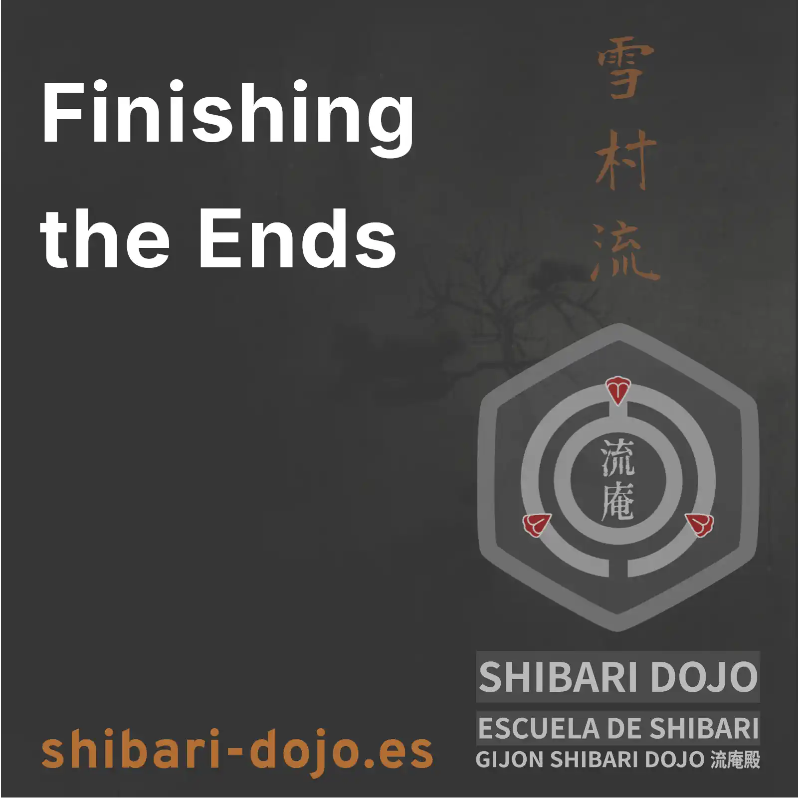 Technical Criteria for Finishing Shibari Rope Ends: Structural Twist and Mechanical Efficiency