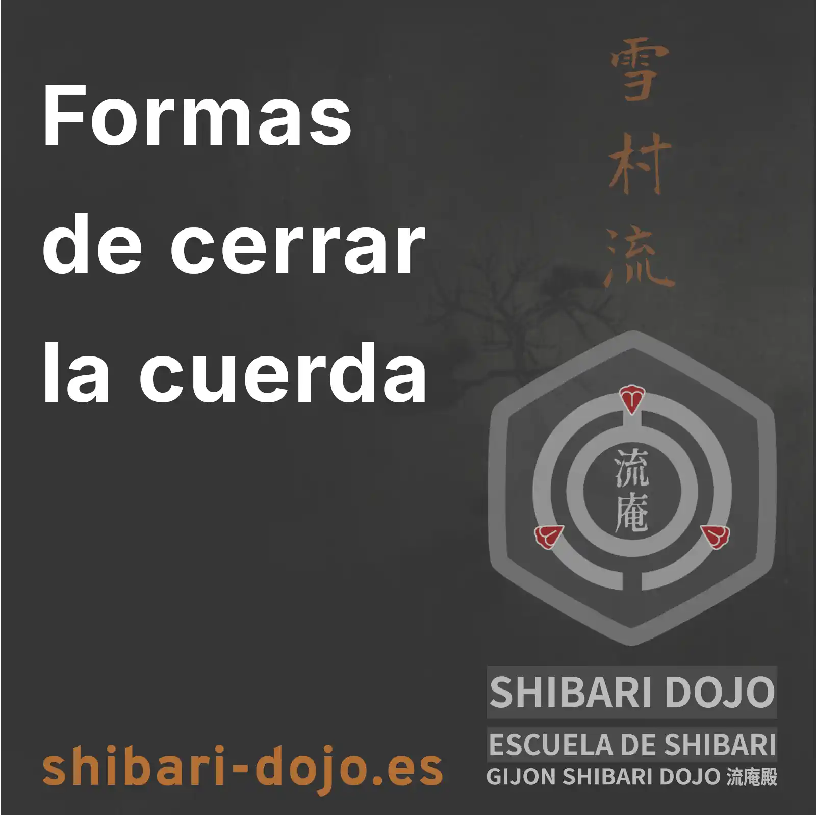 Criterios técnicos para el cierre de extremos en cuerda de shibari: torsión estructural y eficiencia mecánica