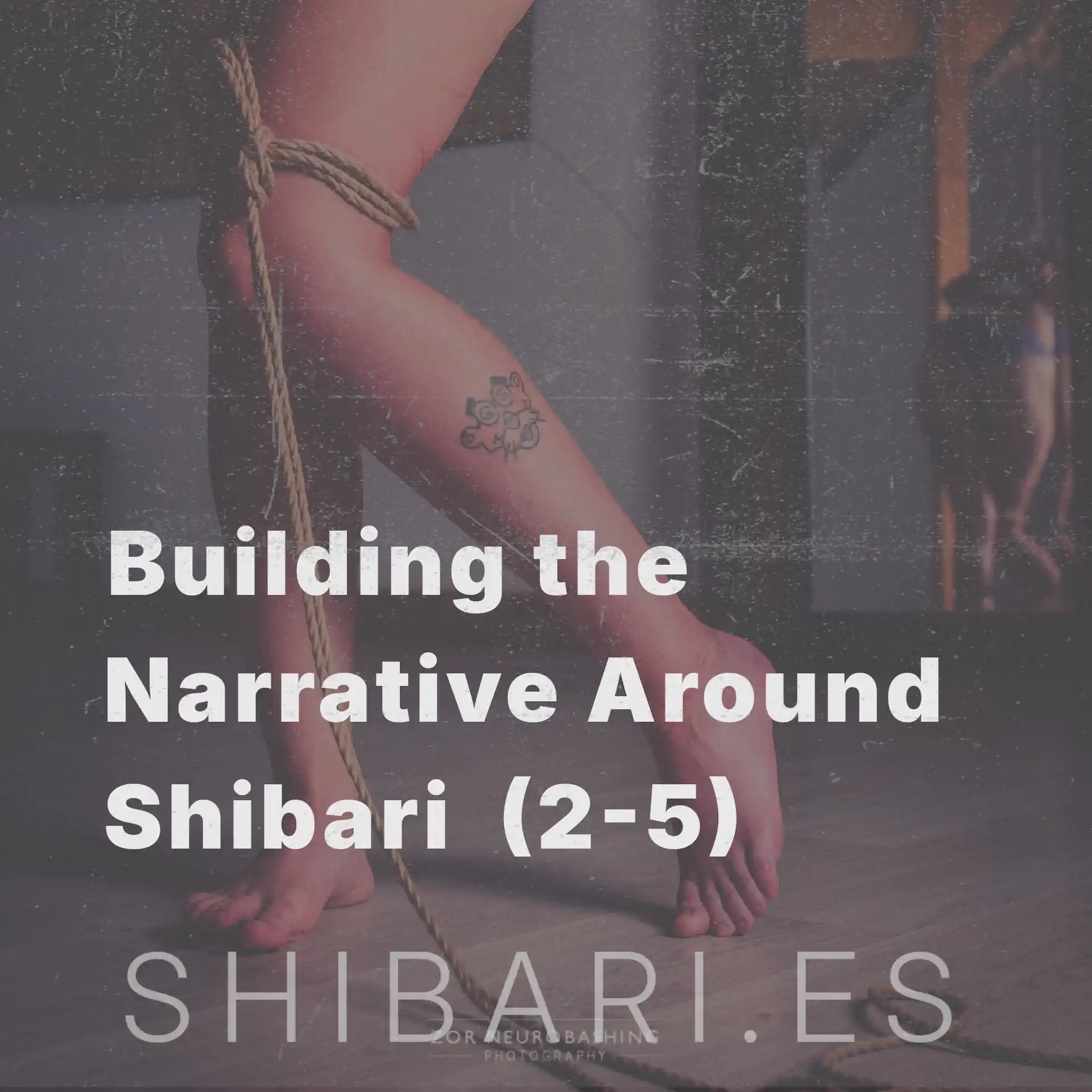  Building the Narrative Around Shibari (2–5): How the Brain Builds Categories