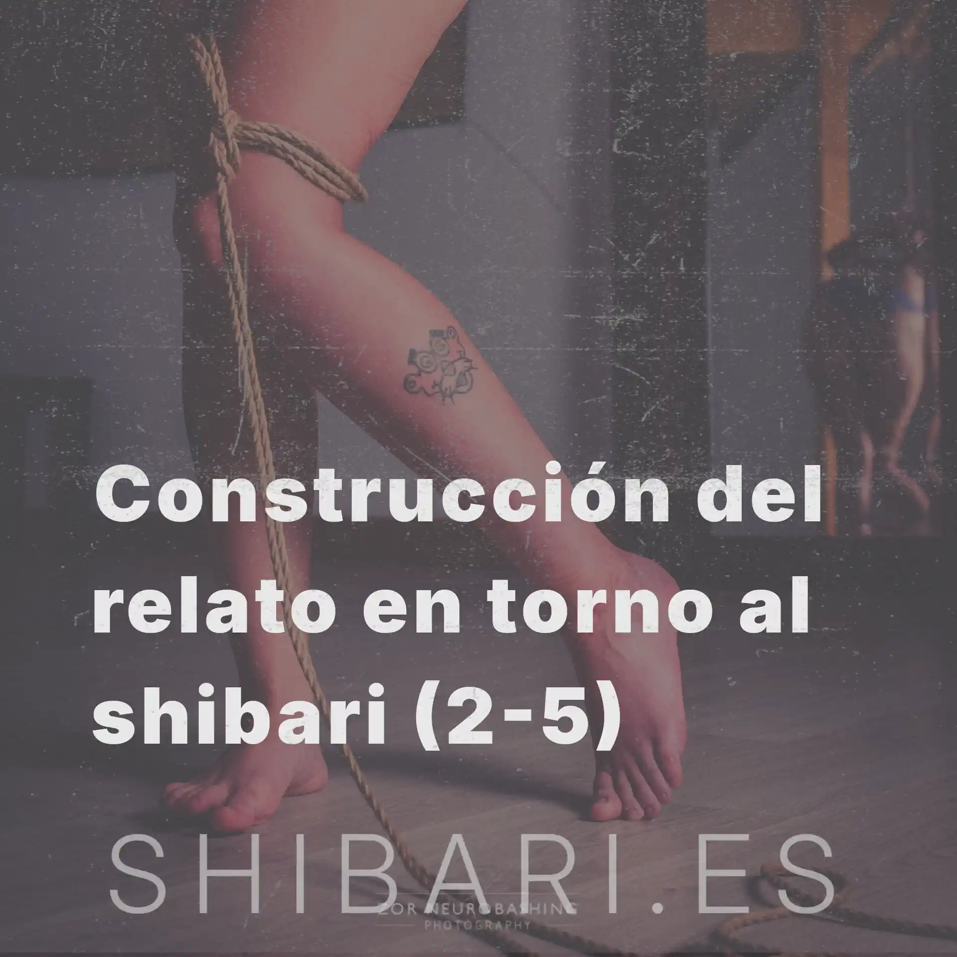 Construcción del relato en torno al shibari (2-5): Cómo construye categorías el cerebro