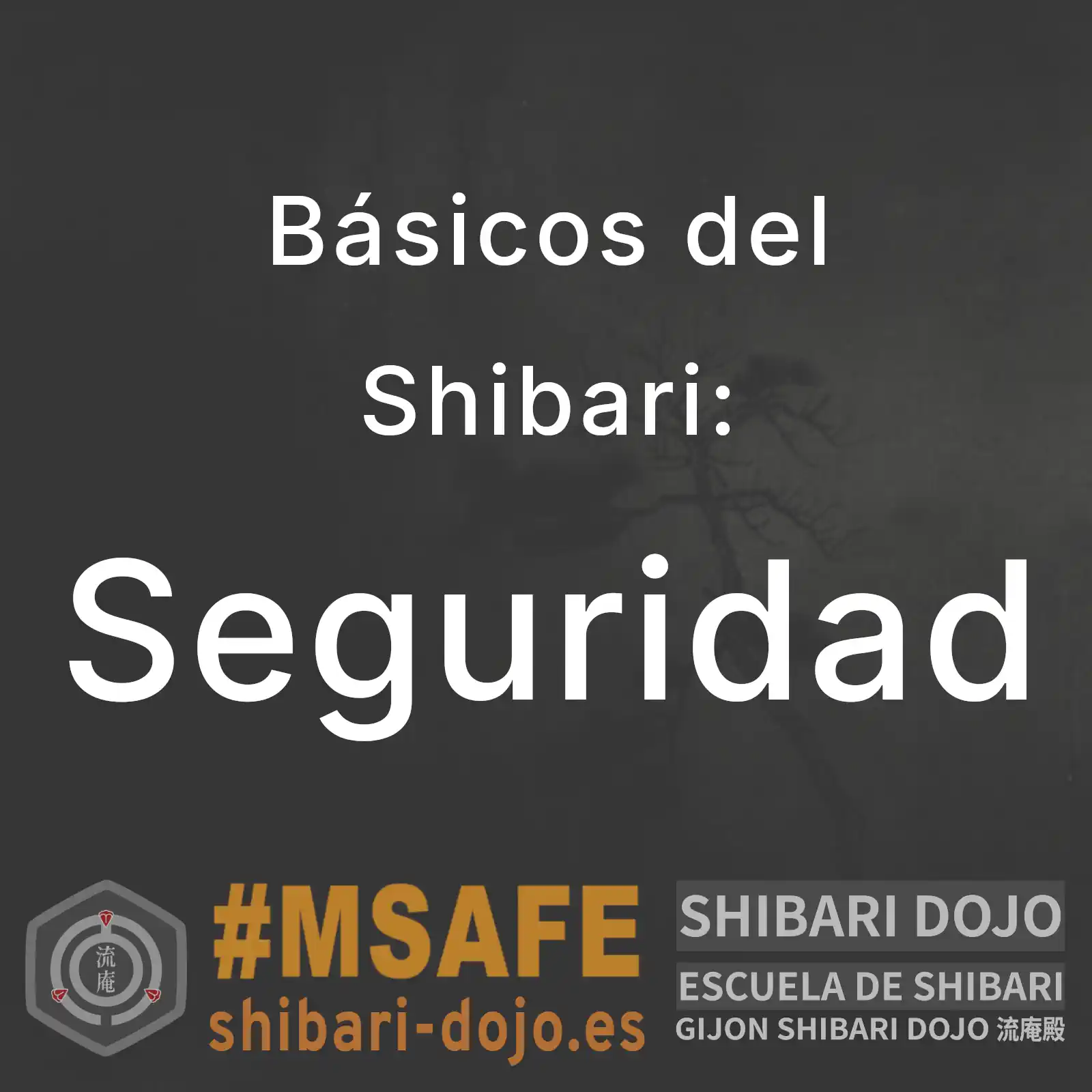 Seguridad en Shibari: Riesgos, falsas certezas y responsabilidad