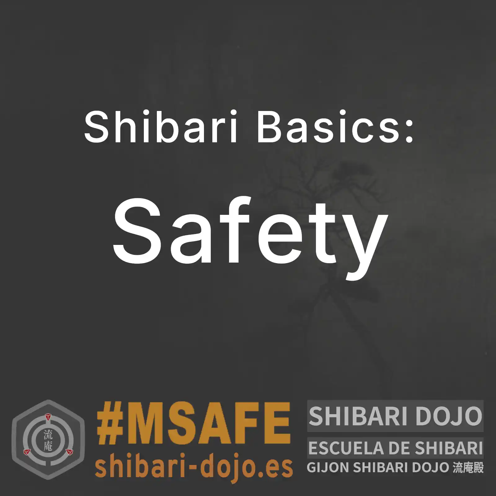 Shibari Safety: Risks, False Confidence, and Responsibility