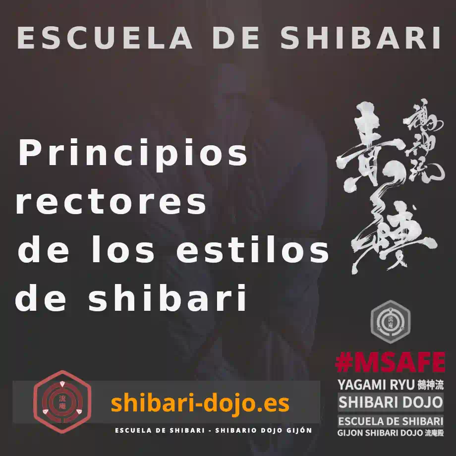 Principios rectores en los estilos de shibari