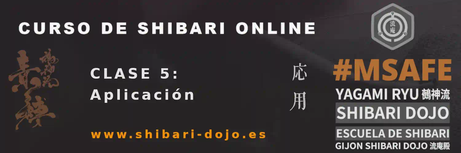 Estructura y Temario del Curso Online de Shibari | Yagami Ryu