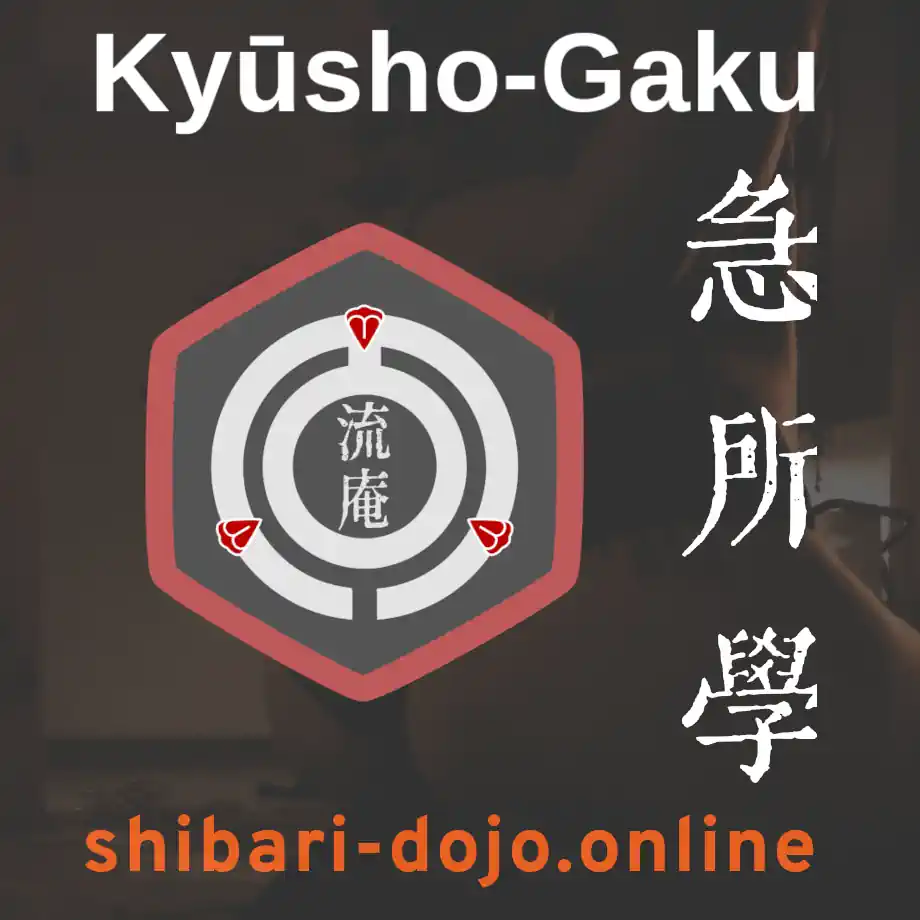 Kyosho-gaku: Key Point & Erogenous Zones